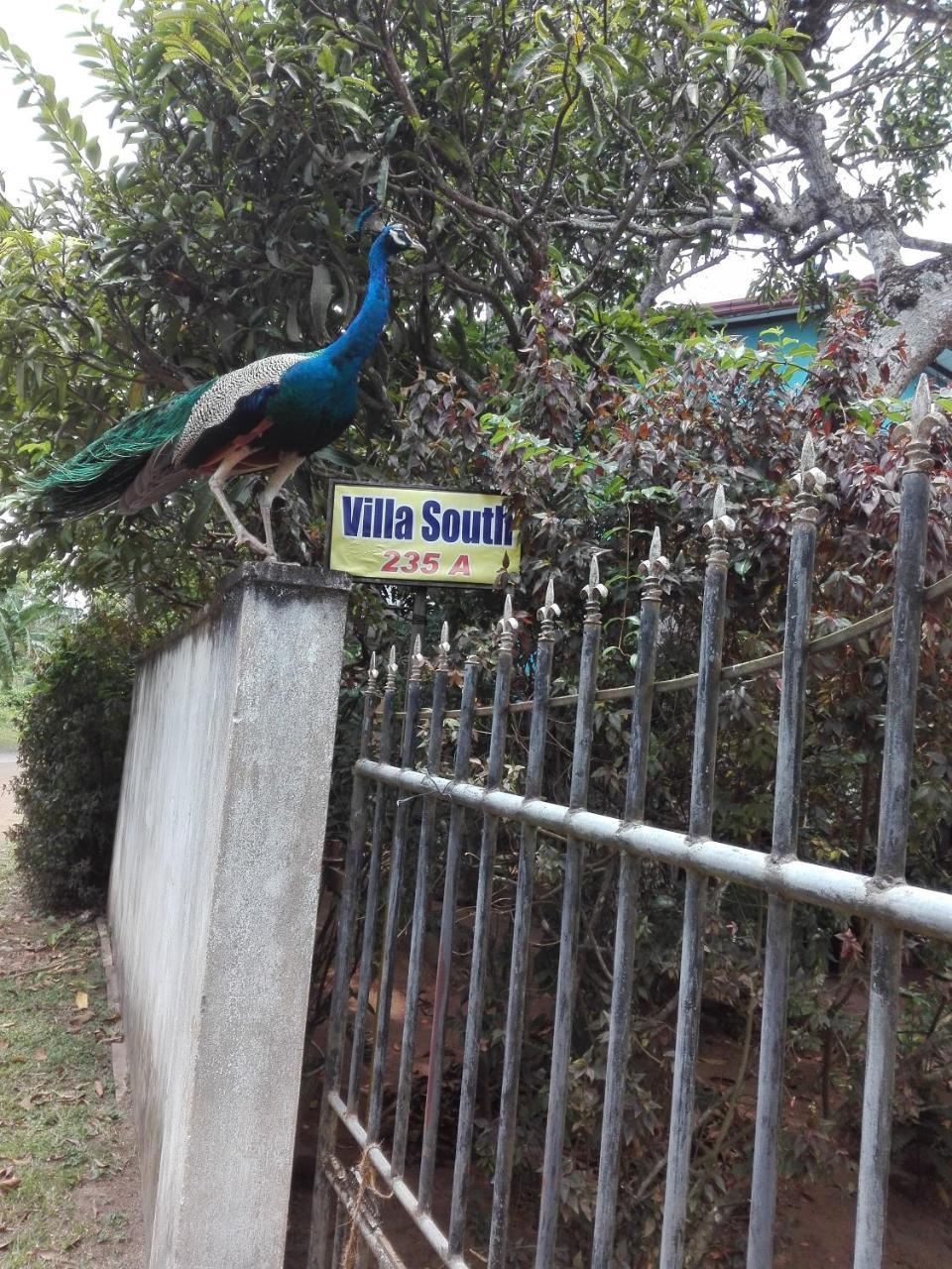 Weligama Villa South Dış mekan fotoğraf